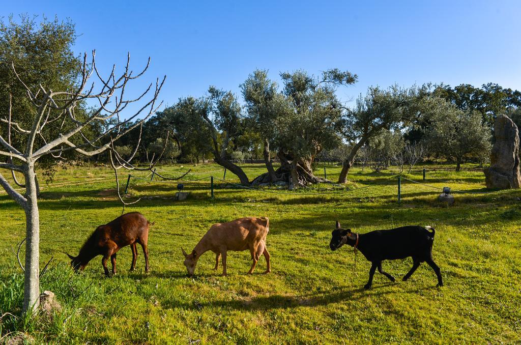 Quinta Dos Tesouros Villa São Brás de Alportel Kültér fotó